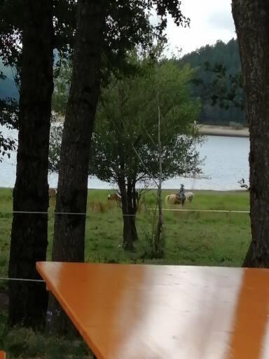 Mare O Montagna Apartment Cosenza Bagian luar foto